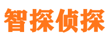 南海外遇调查取证